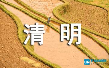 清明节手抄报内容参考